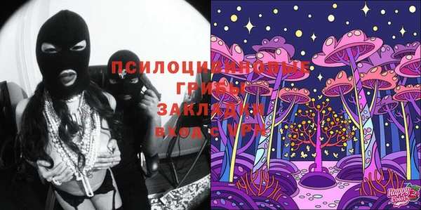бошки Медвежьегорск