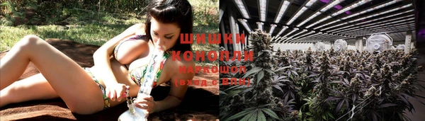 дурь Мегион